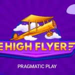 High Flyer
