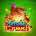 Mole Crash Game Banner