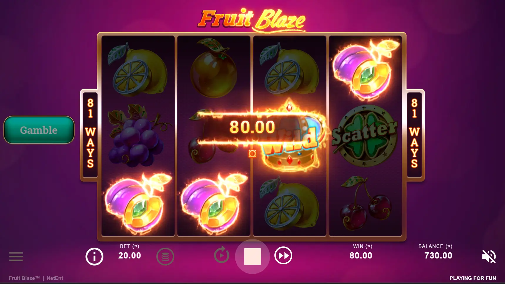 Fruit Blaze game screenshot