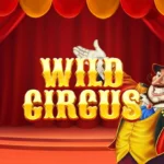 wild circus game banner