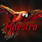 Maestro by GALAXSYS